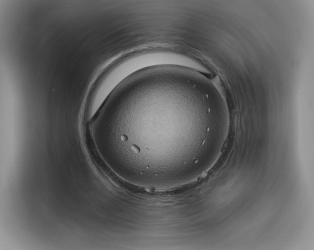 X0000114100536200910131324