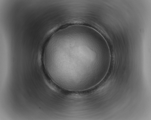 X0000114100538200910131324