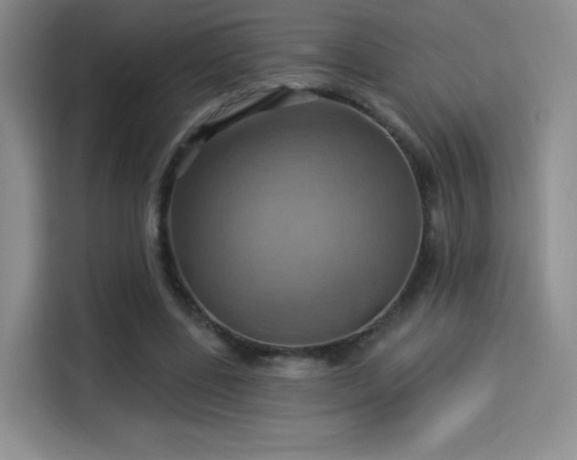 X0000114100539200910131324