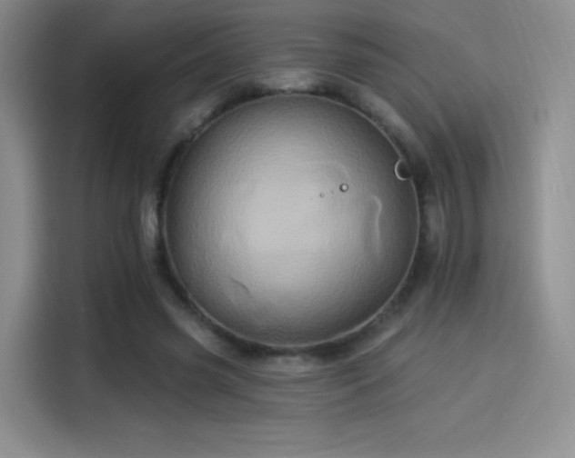 X0000114100541200910131324