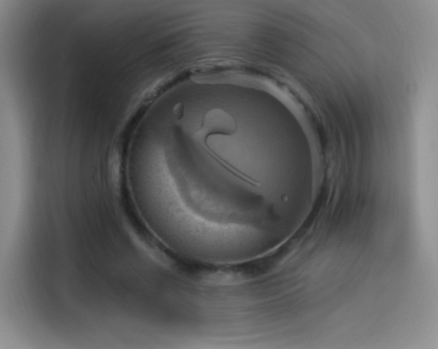 X0000114100542200910131324