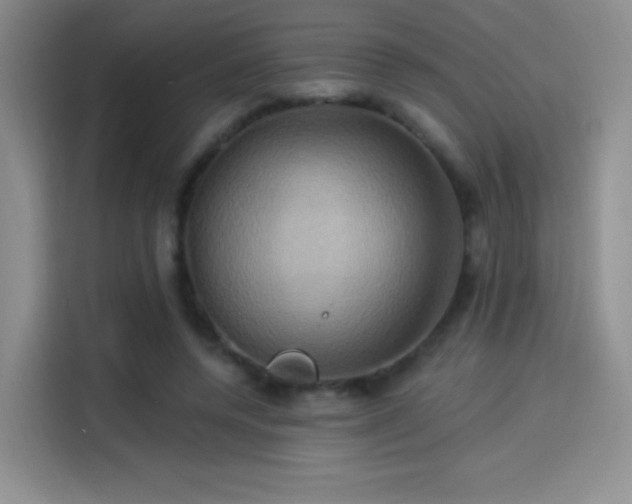 X0000114100544200910131324