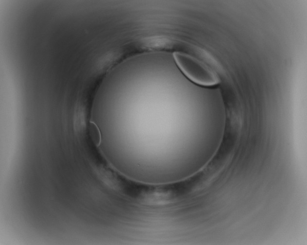 X0000114100546200910131324