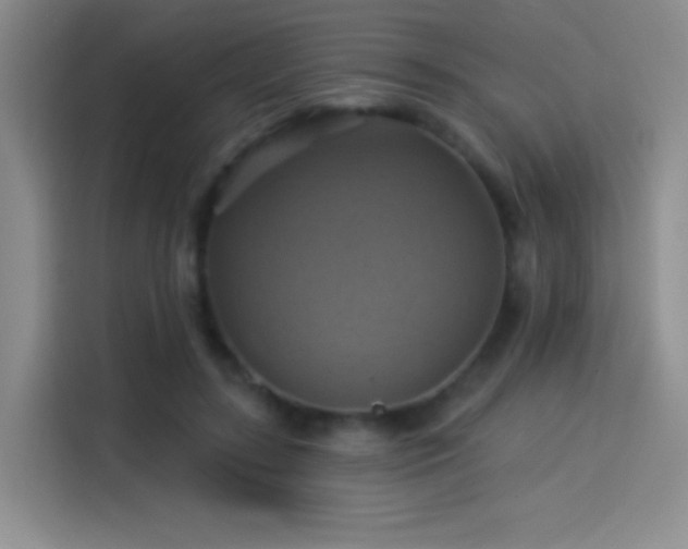 X0000114100547200910131324