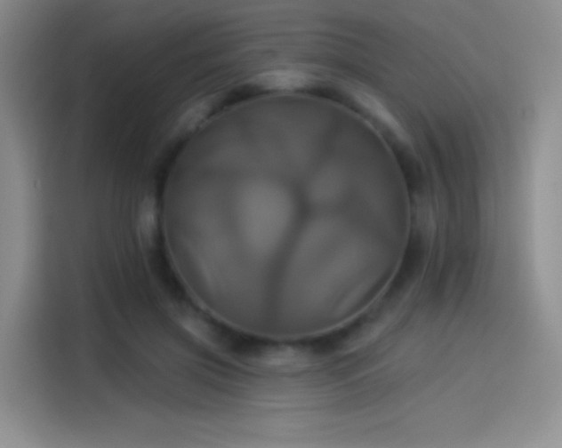 X0000114100549200910131324