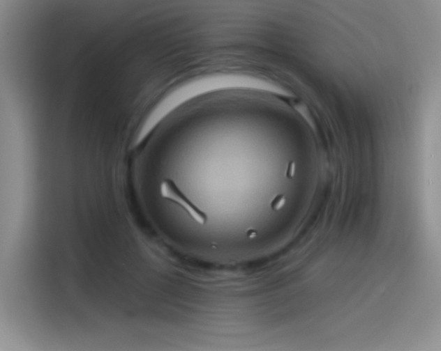 X0000114100552200910131324