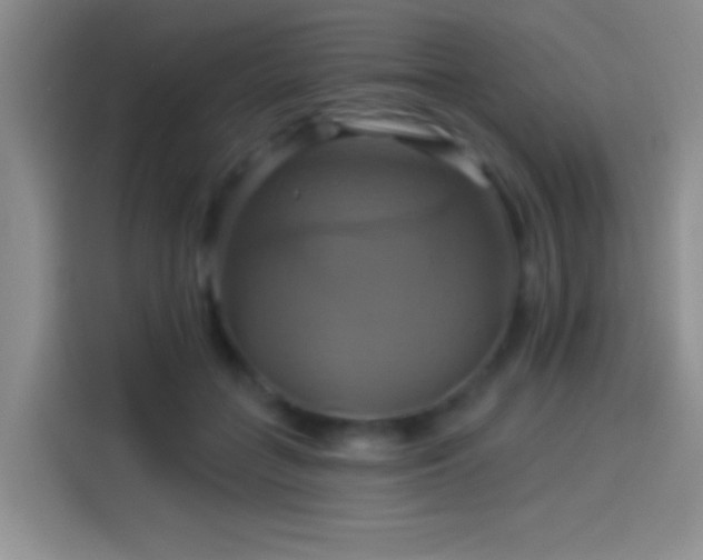 X0000114100555200910131324