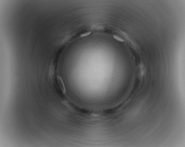 X0000114100560200910131324