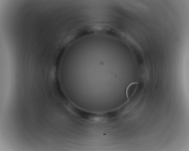 X0000114100563200910131324