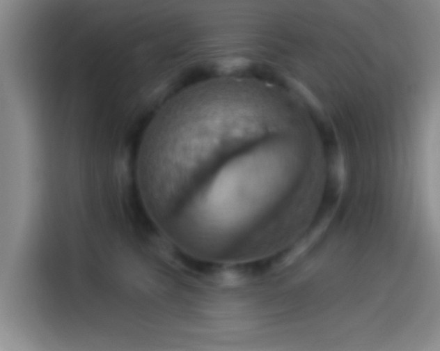 X0000114100565200910131325