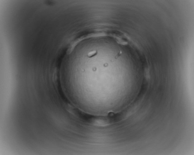 X0000114100567200910131325