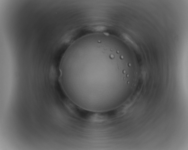 X0000114100568200910131325