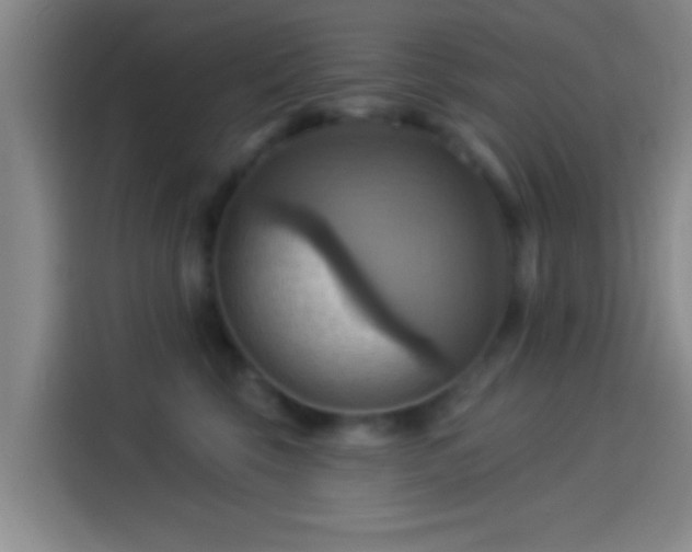 X0000114100569200910131325