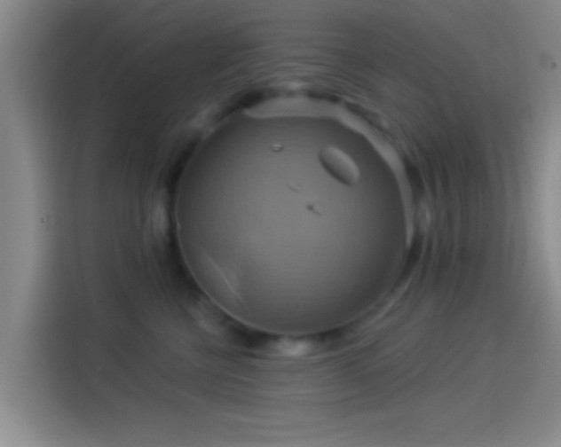 X0000114100570200910131325