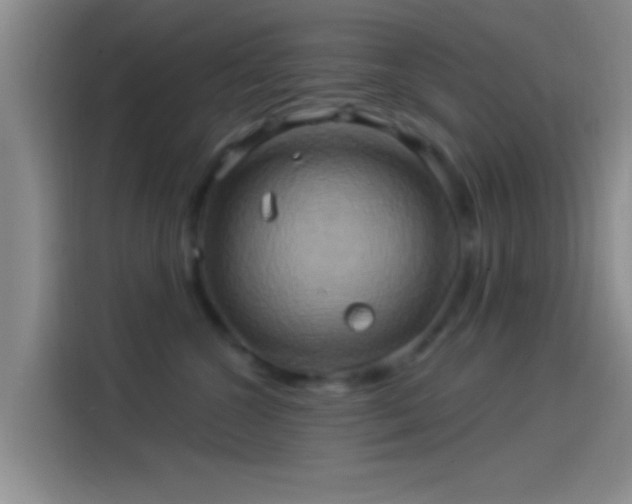 X0000114100572200910131325