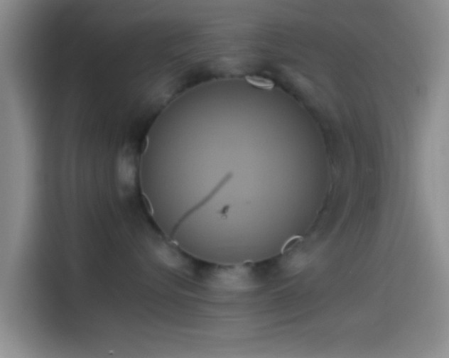 X0000114100576200910131325