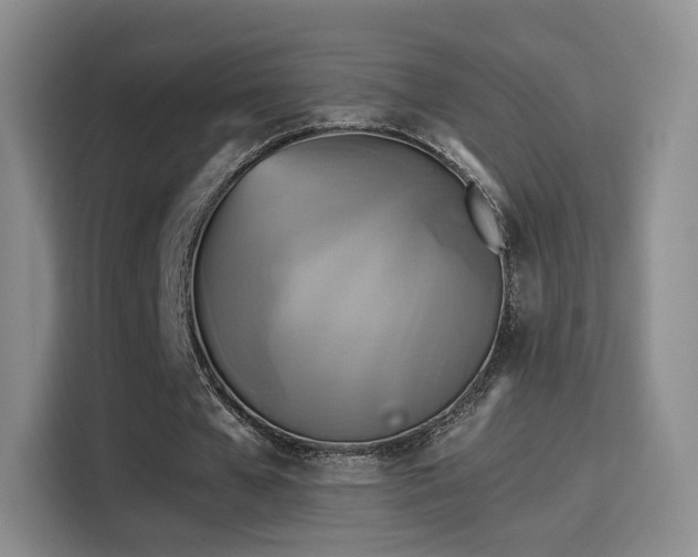 X0000114100577200910131324