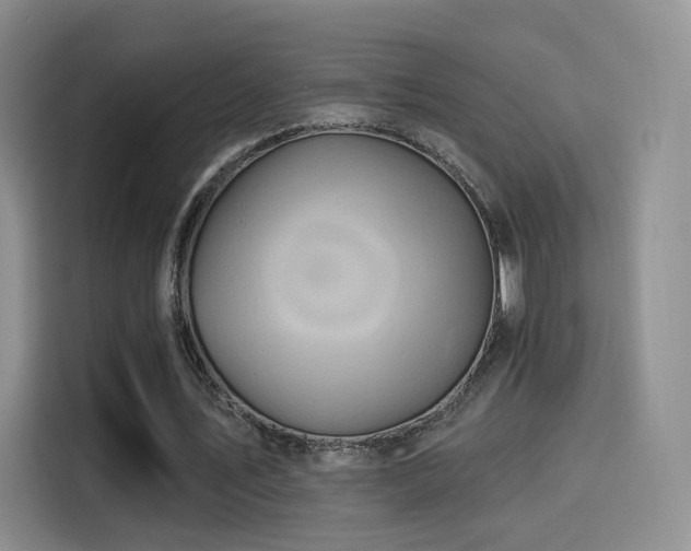 X0000114100579200910131324