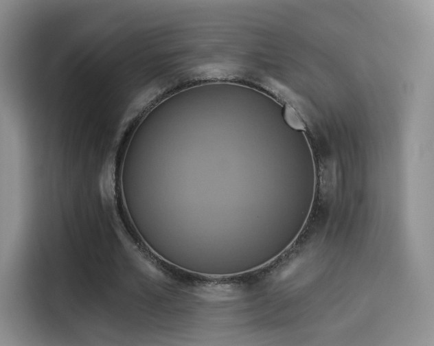 X0000114100581200910131324