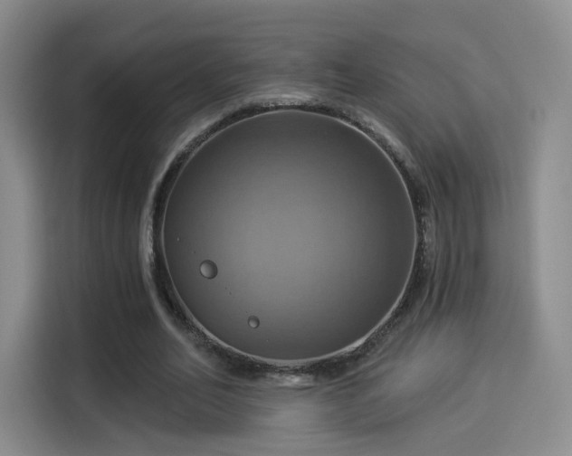 X0000114100582200910131324