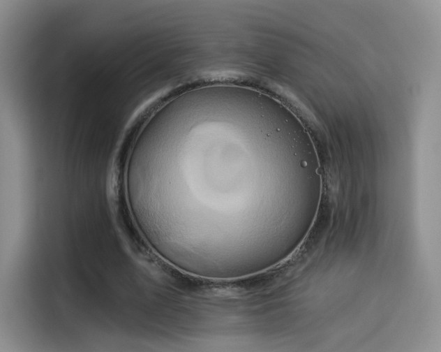 X0000114100583200910131324