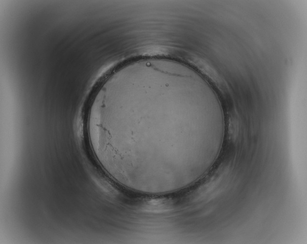 X0000114100584200910131324