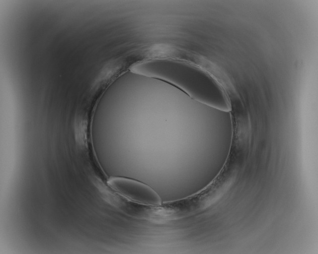 X0000114100585200910131324