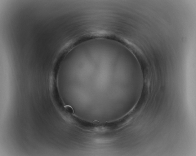 X0000114100591200910131324