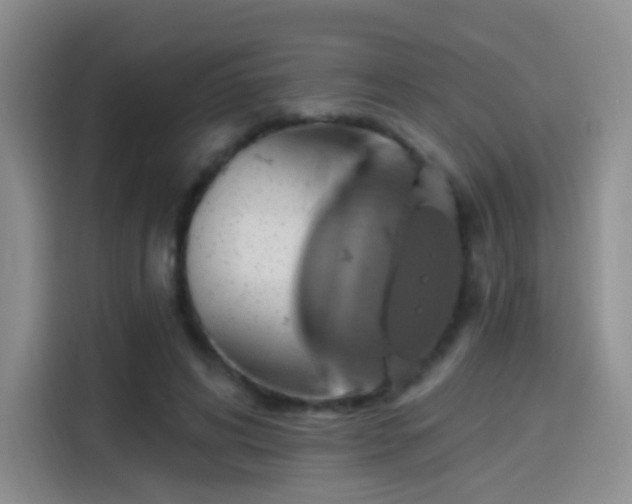 X0000114100592200910131324