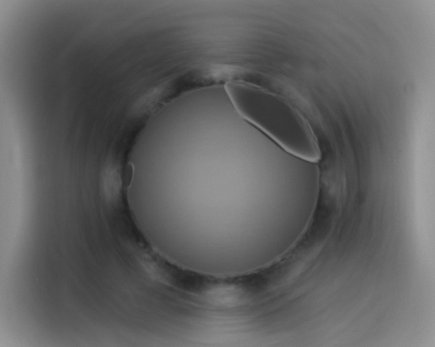 X0000114100593200910131324