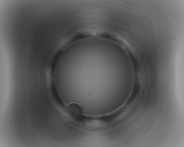 X0000114100594200910131324