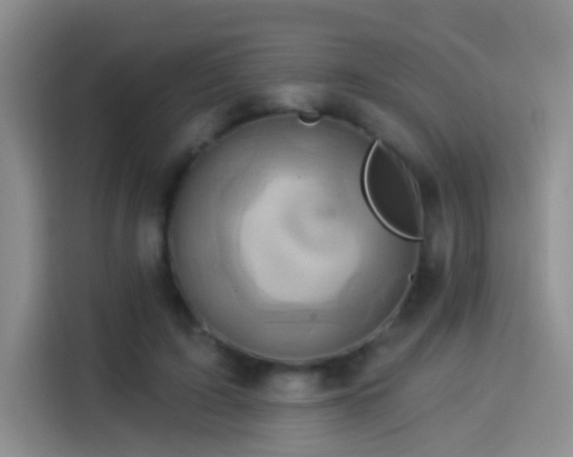 X0000114100595200910131324