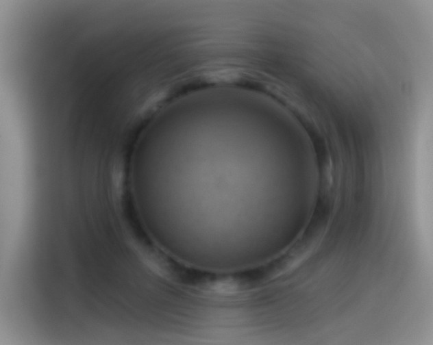 X0000114100600200910131324