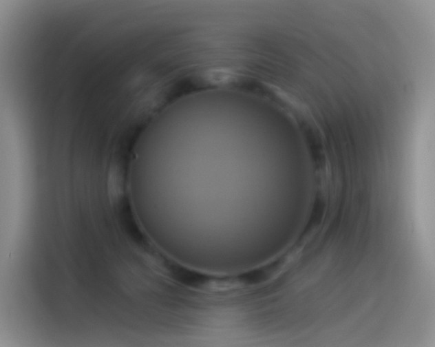 X0000114100606200910131324