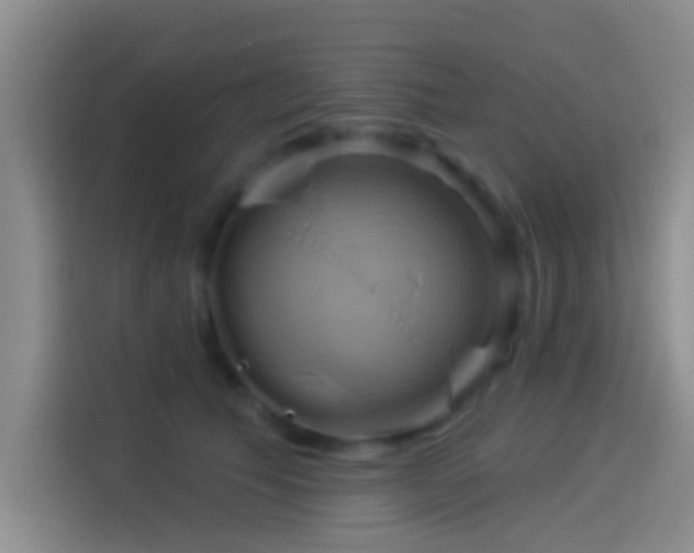 X0000114100609200910131324