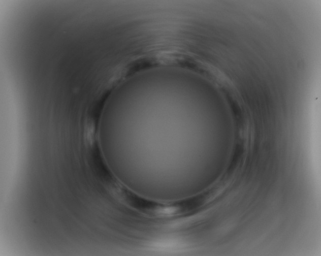 X0000114100610200910131324