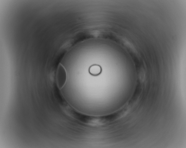 X0000114100611200910131324