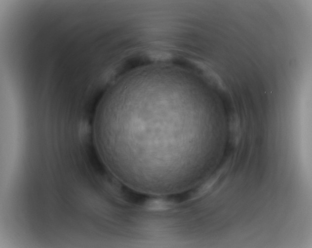 X0000114100614200910131324