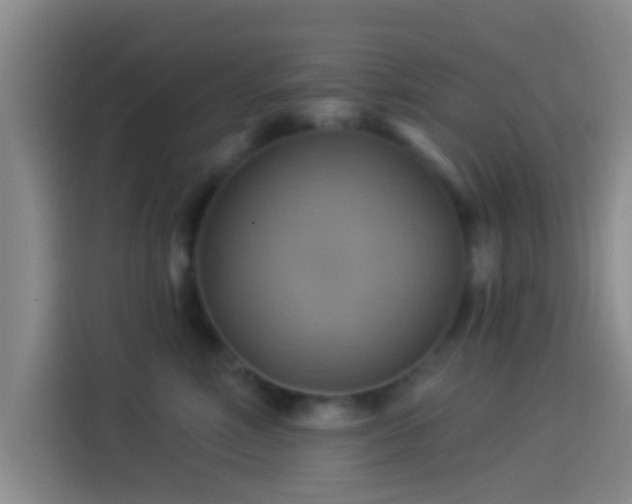 X0000114100618200910131323