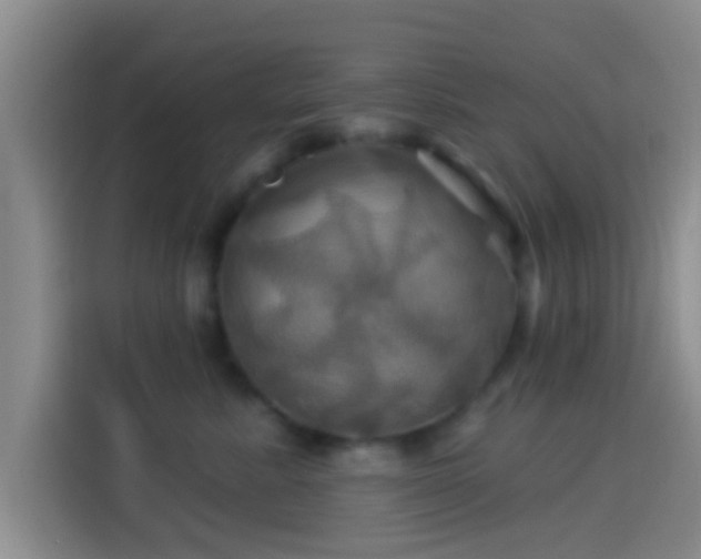 X0000114100619200910131323