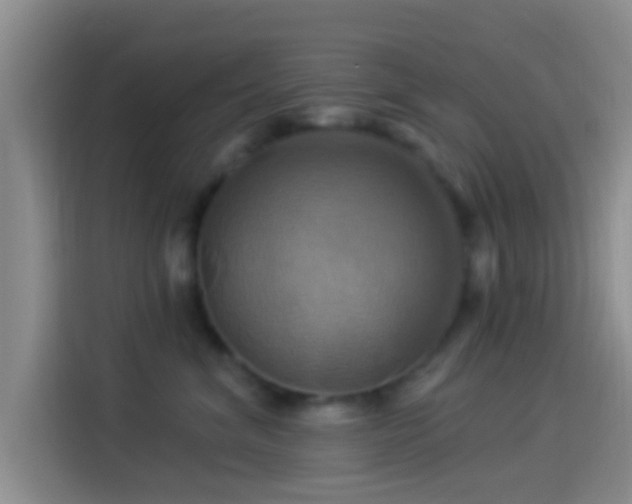 X0000114100620200910131323