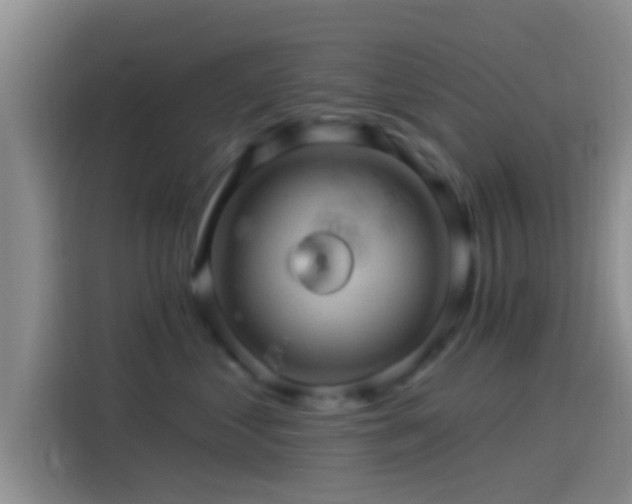 X0000114100621200910131323