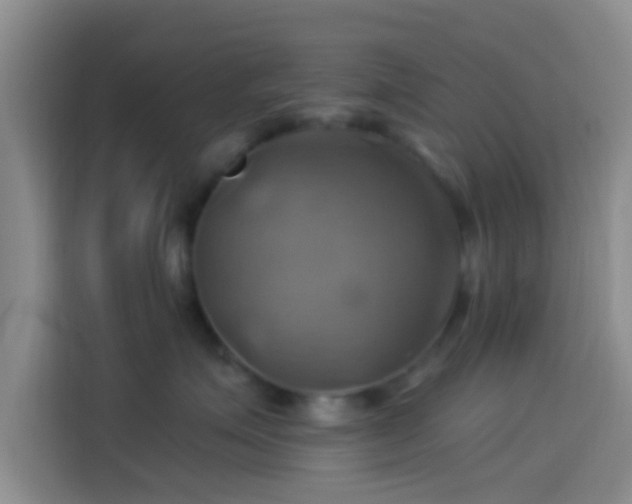 X0000114100623200910131323