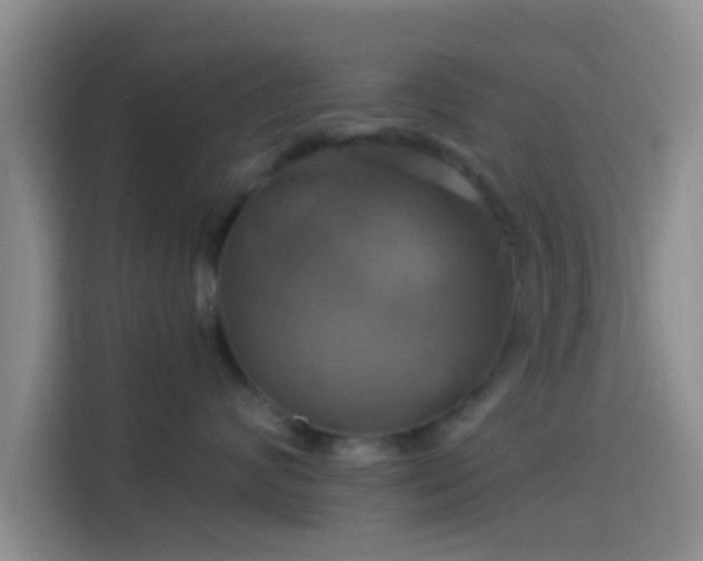 X0000114100624200910131323