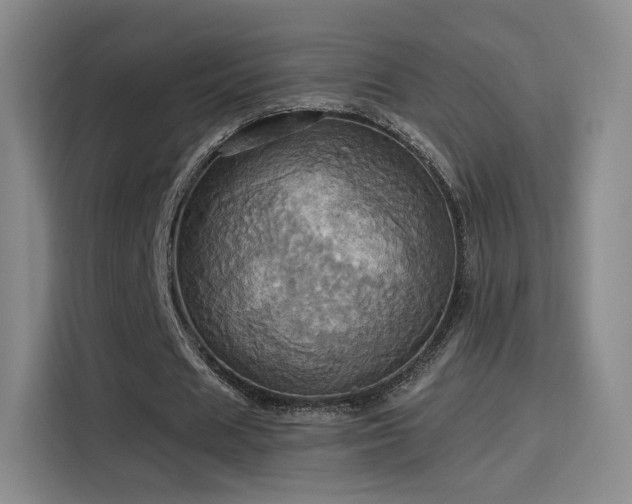 X0000114100625200910131323