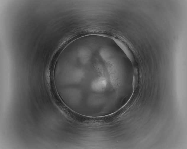 X0000114100626200910131323