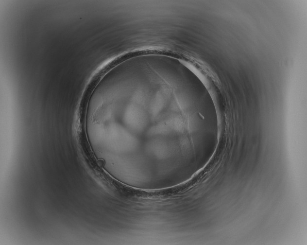 X0000114100628200910131323