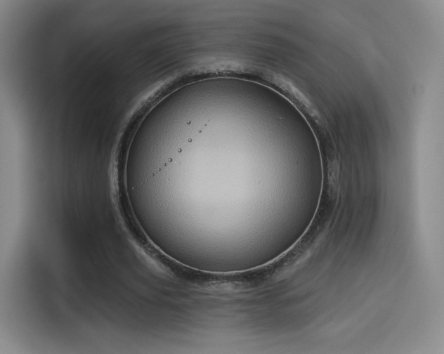 X0000114100629200910131323