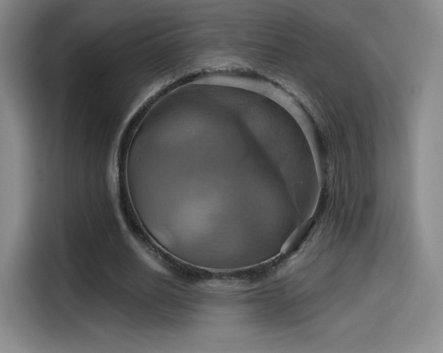 X0000114100630200910131323