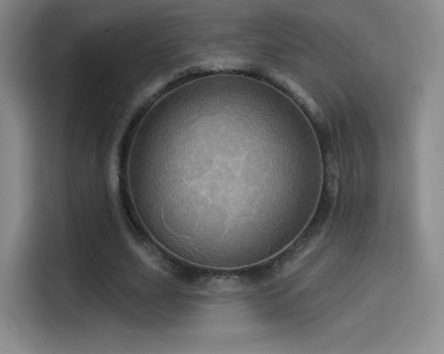 X0000114100631200910131323